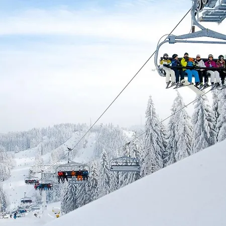 Parklife Apartament *