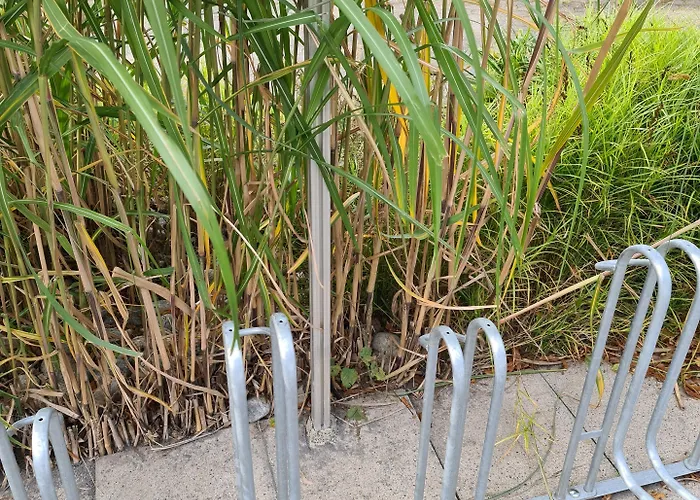 شقة Parklife وينتربرغ